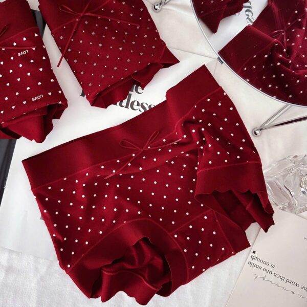 Quần Cotton 889 - LXLN68 - Ảnh 2