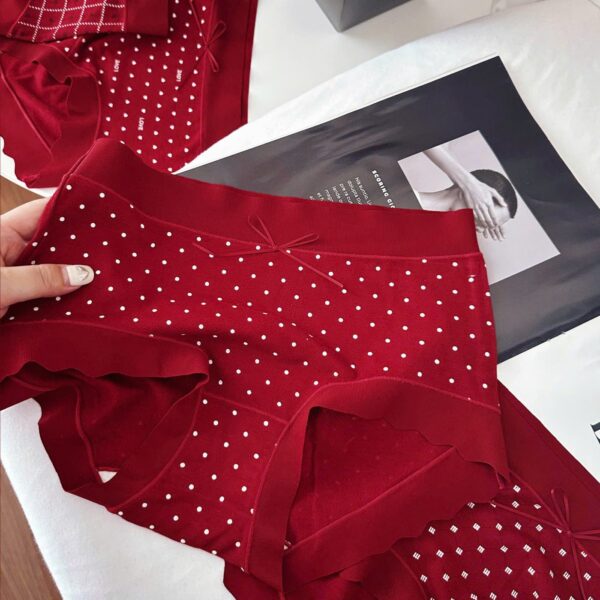 Quần Cotton 889 - LXLN68 - Ảnh 3