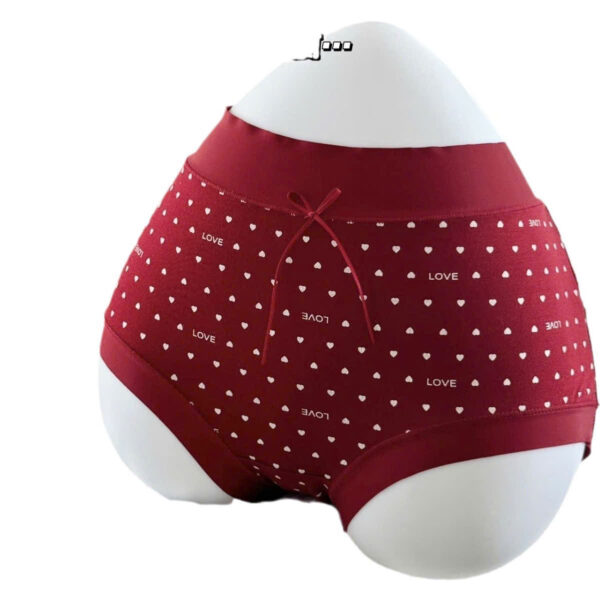 Quần Cotton 889 - LXLN68 - Ảnh 5