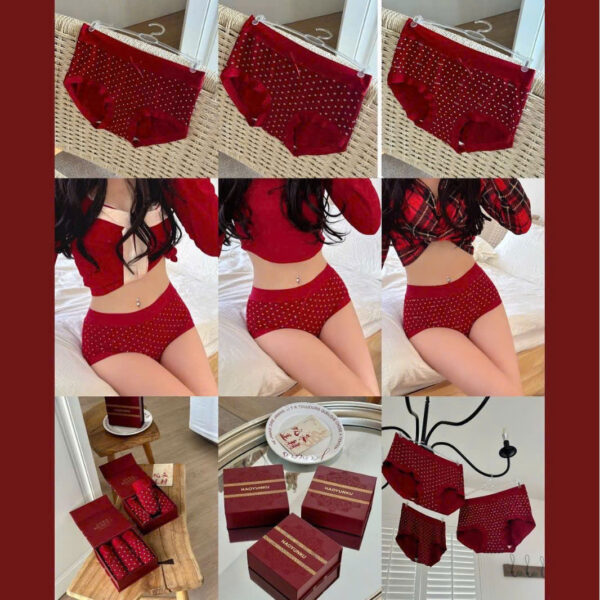 Quần Cotton 889 - LXLN68 - Ảnh 6