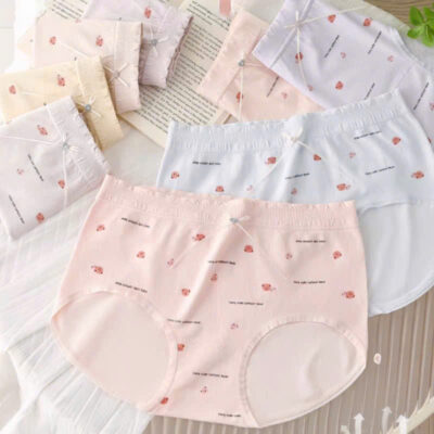 Quần cotton 8623 - LXLN72