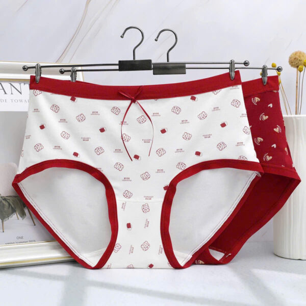 Quần cotton 8202 - LXLN77 - Ảnh 2
