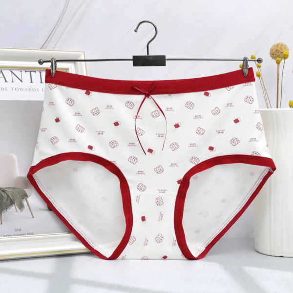 Quần cotton 8202 - LXLN77 - Ảnh 3