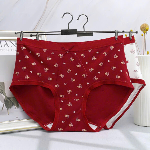 Quần cotton 8202 - LXLN77 - Ảnh 4