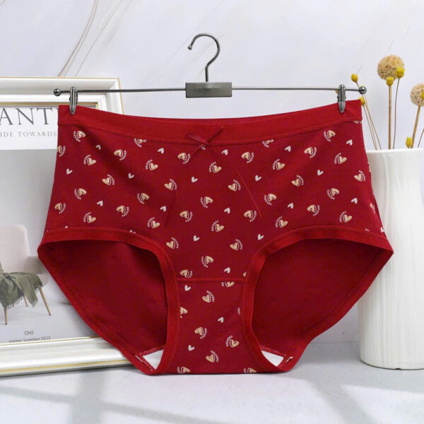 Quần cotton 8202 - LXLN77 - Ảnh 6