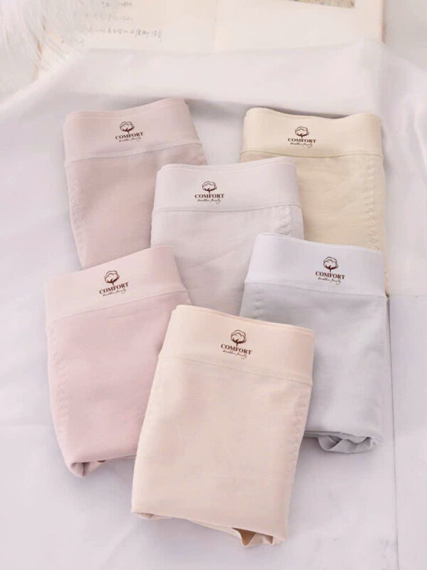 Quần lót nữ 8077 - DLN49 - Ảnh 4